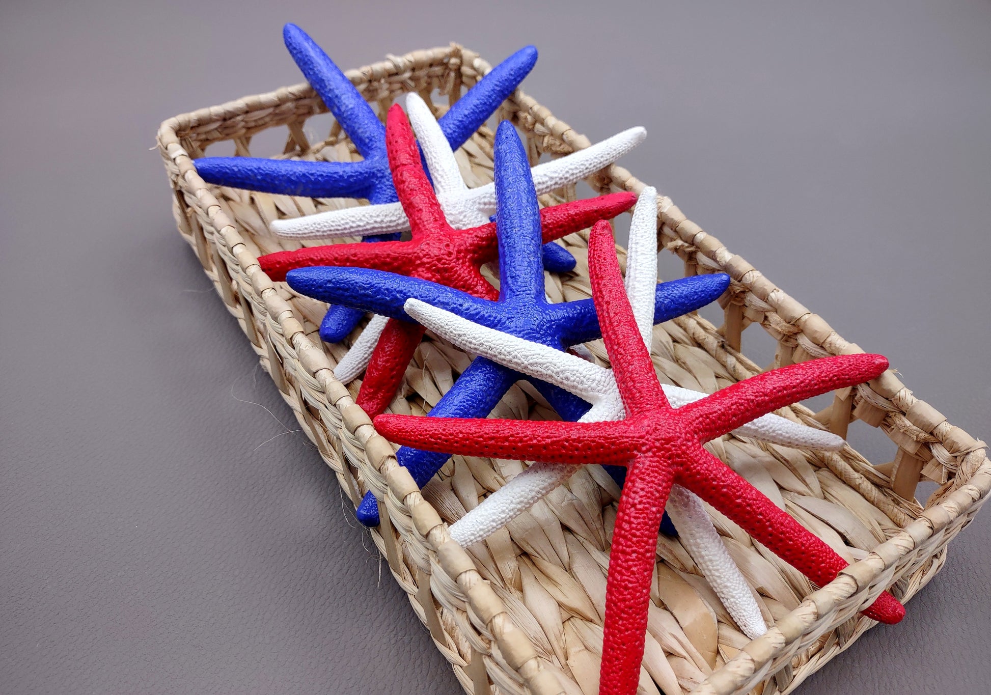 Red, white and blue Linckia Starfish (3 seastar approx. 5-6 inches) Copyright 2024 SeaShellSupply.com.