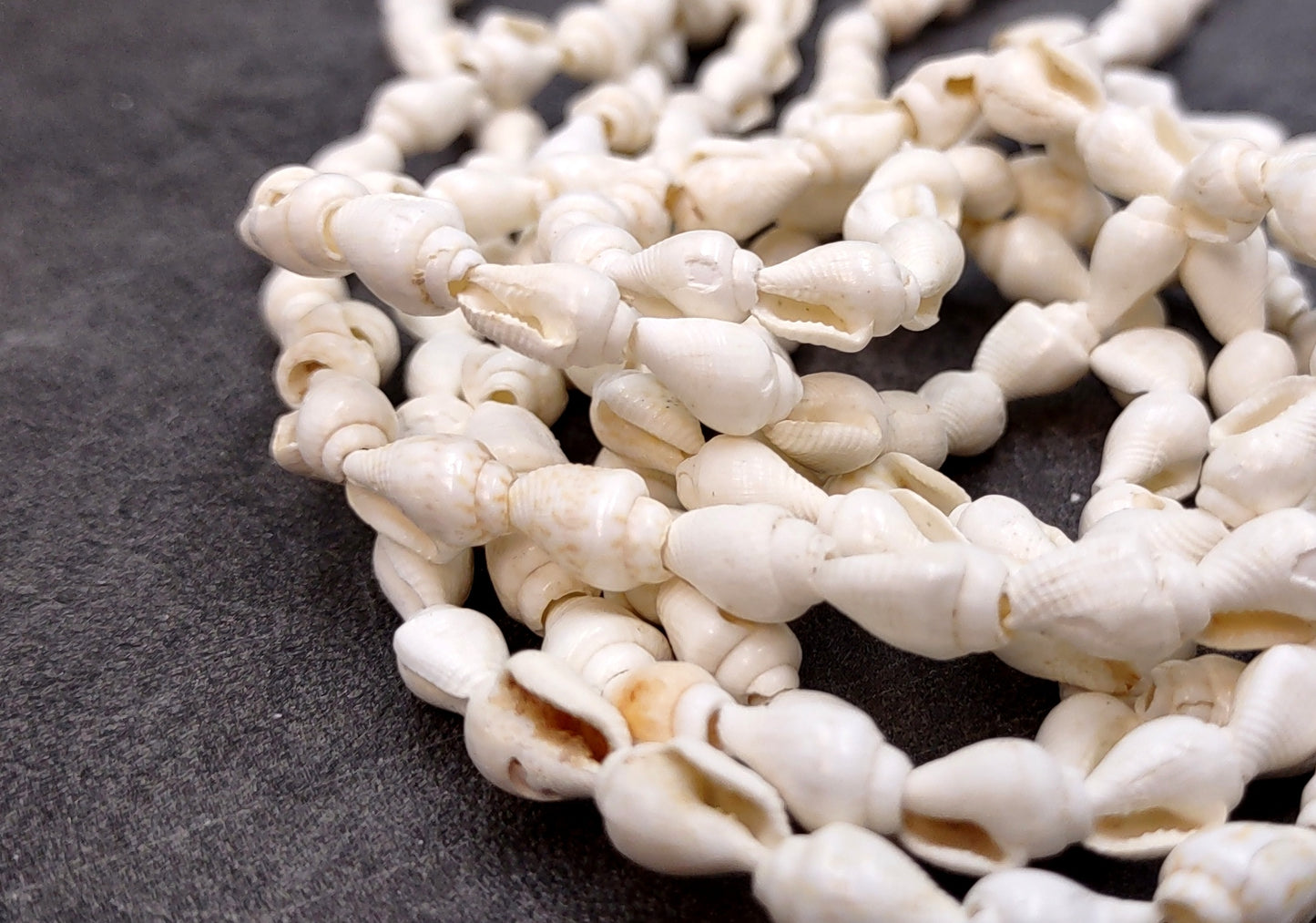 White Nassa Shell Necklace Leis (3 leis approx. 0.20+ inch x 34 inch CIRCUMFERENCE) Beautiful seashell necklace for beach outfits or a gift!