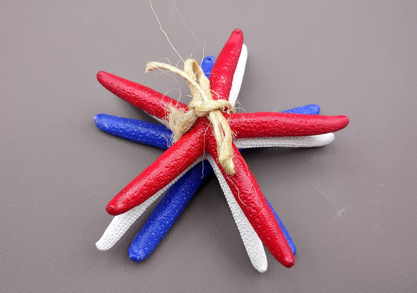 Red, white and blue Linckia Starfish (3 seastar approx. 5-6 inches) Copyright 2024 SeaShellSupply.com.