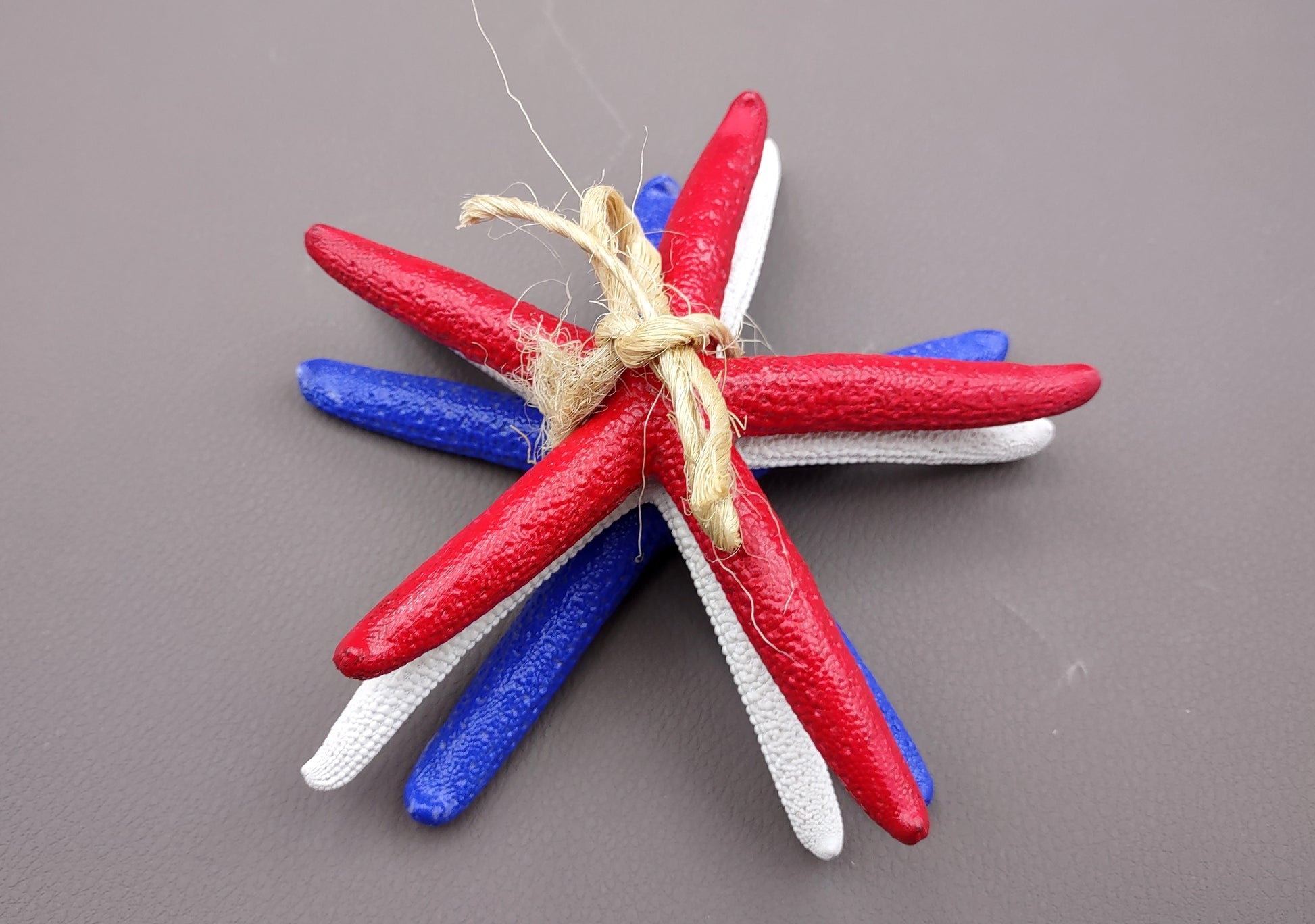 Red, white and blue Linckia Starfish (3 seastar approx. 5-6 inches) Copyright 2024 SeaShellSupply.com.