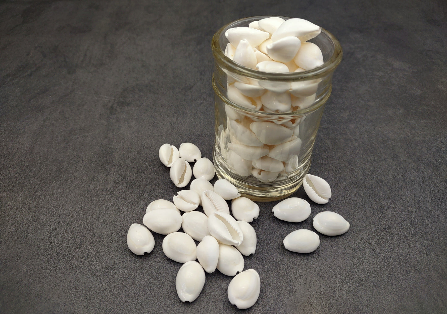 White Cowrie Seashells - Cypraea Annulus - (45-50 shells approx. .5-.75 inch). Multiple white shells in a pile. Copyright 2024 SeaShellSupply.com.