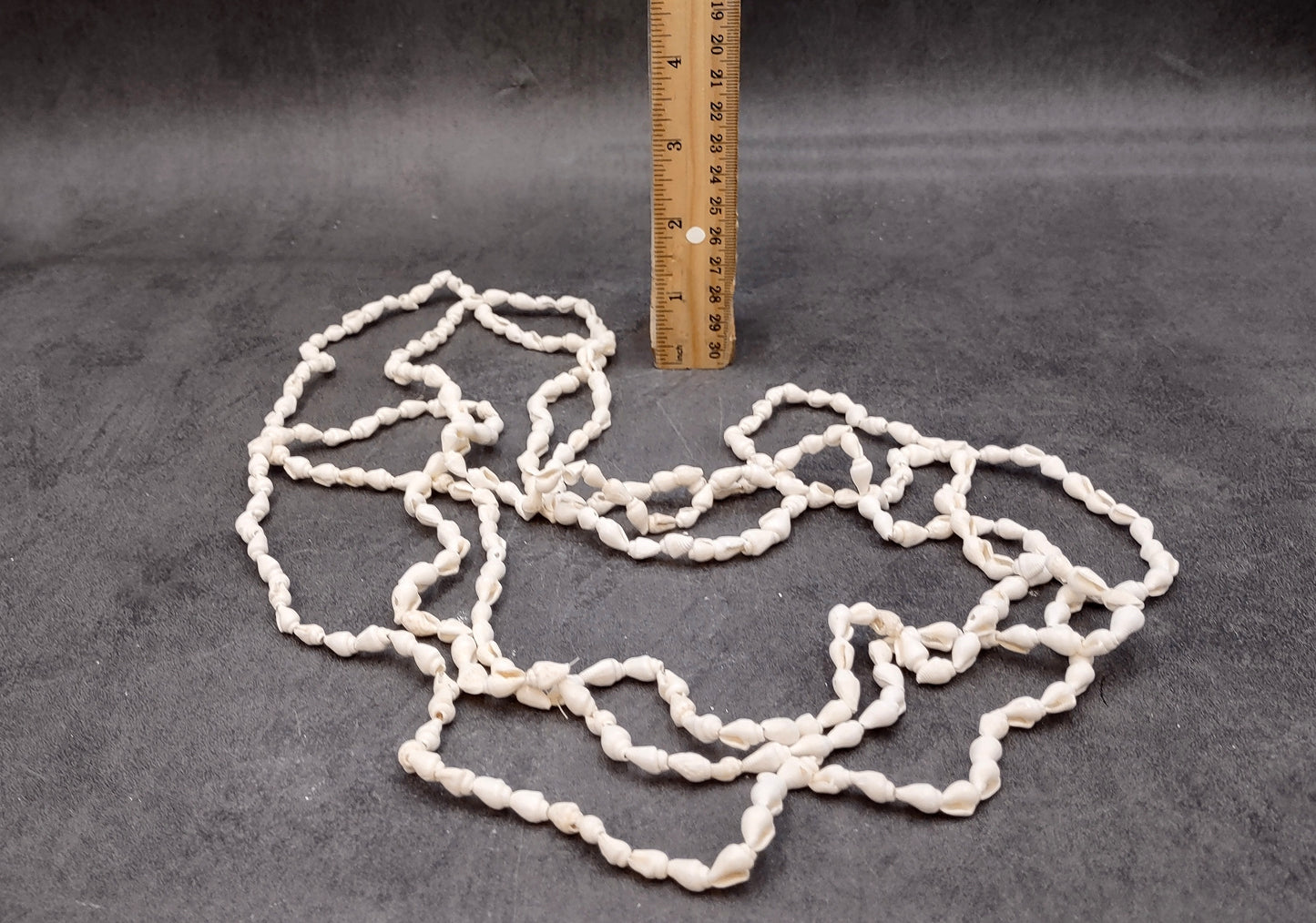 White Nassa Shell Necklace Leis (3 leis approx. 0.20+ inch x 34 inch CIRCUMFERENCE) Beautiful seashell necklace for beach outfits or a gift!