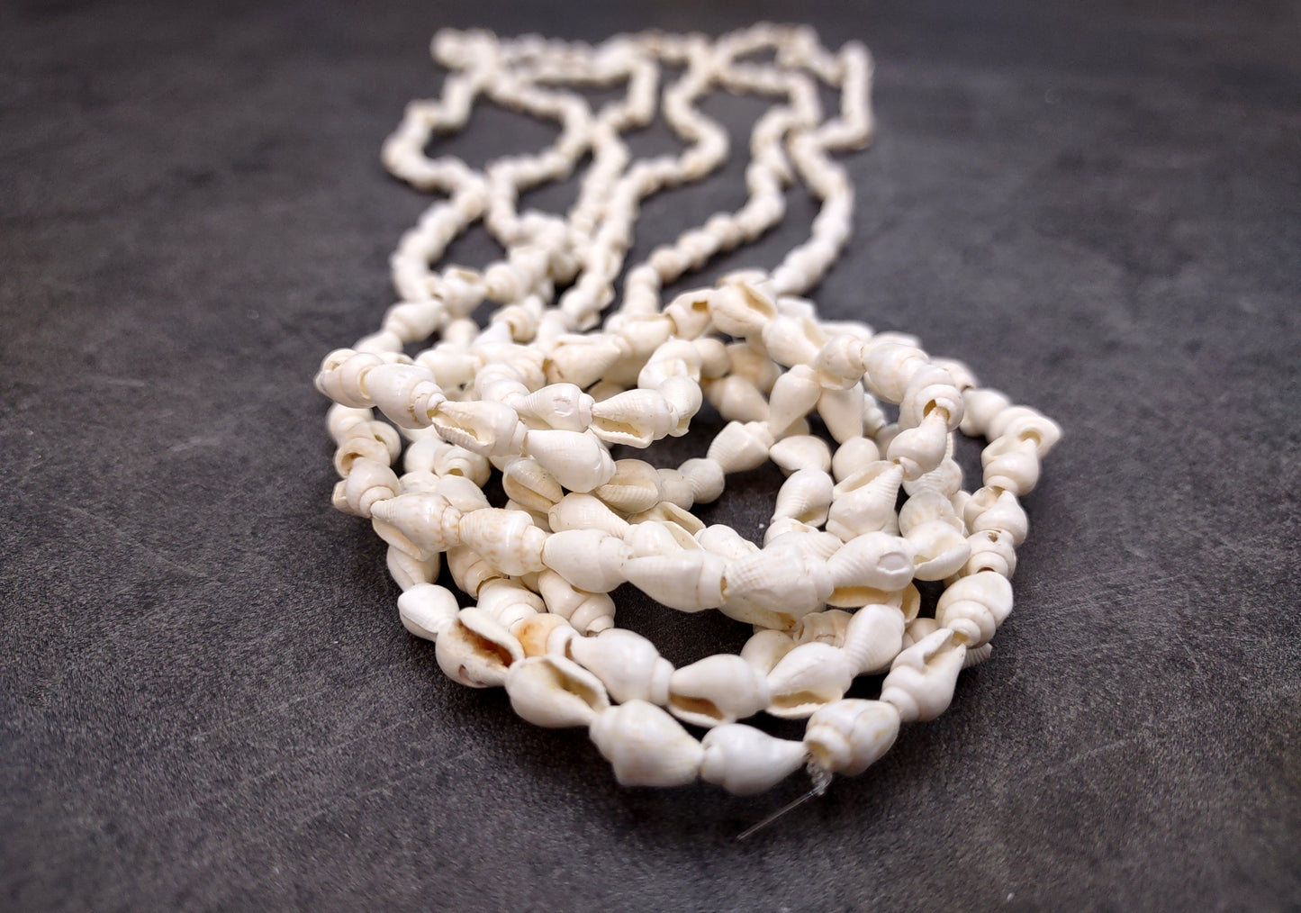 White Nassa Shell Necklace Leis (3 leis approx. 0.20+ inch x 34 inch CIRCUMFERENCE) Beautiful seashell necklace for beach outfits or a gift!