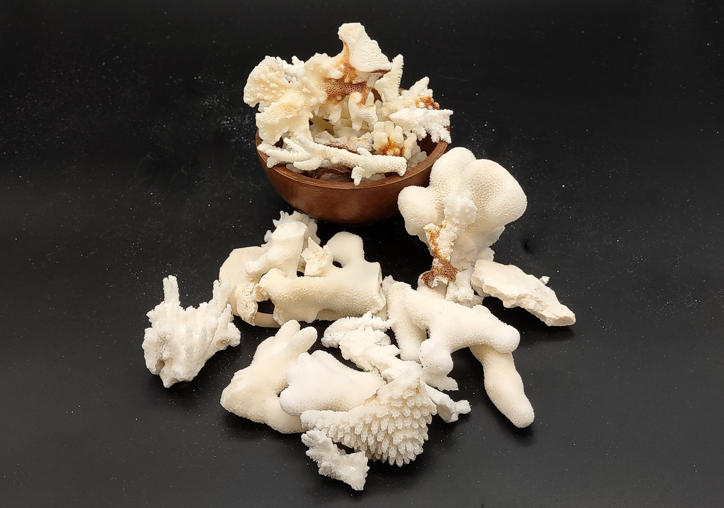 Small Coral Pieces White and Brown (approx. 1 pound 0.5-1.5+ inches) Coral Pieces perfect for any coastal art project or display!