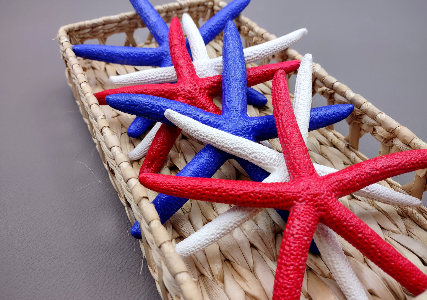 Red, white and blue Linckia Starfish (3 seastar approx. 5-6 inches) Copyright 2024 SeaShellSupply.com.