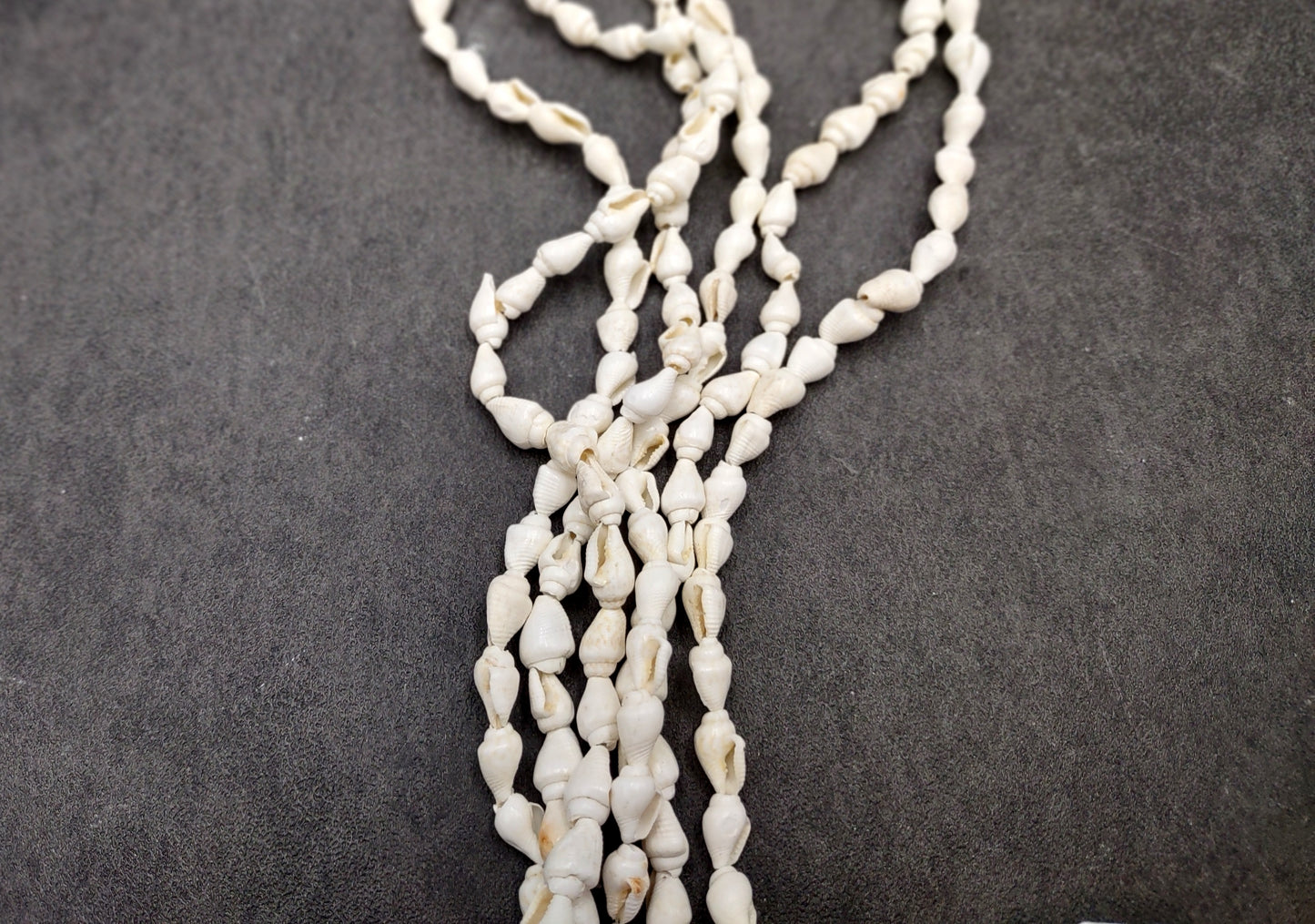 White Nassa Shell Necklace Leis (3 leis approx. 0.20+ inch x 34 inch CIRCUMFERENCE) Beautiful seashell necklace for beach outfits or a gift!