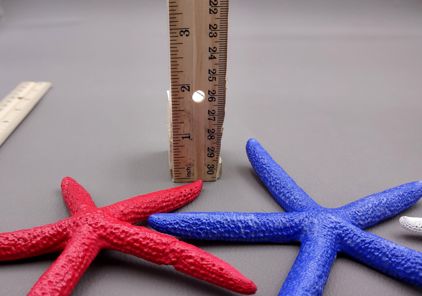 Red, white and blue Linckia Starfish (3 seastar approx. 5-6 inches) Copyright 2024 SeaShellSupply.com.