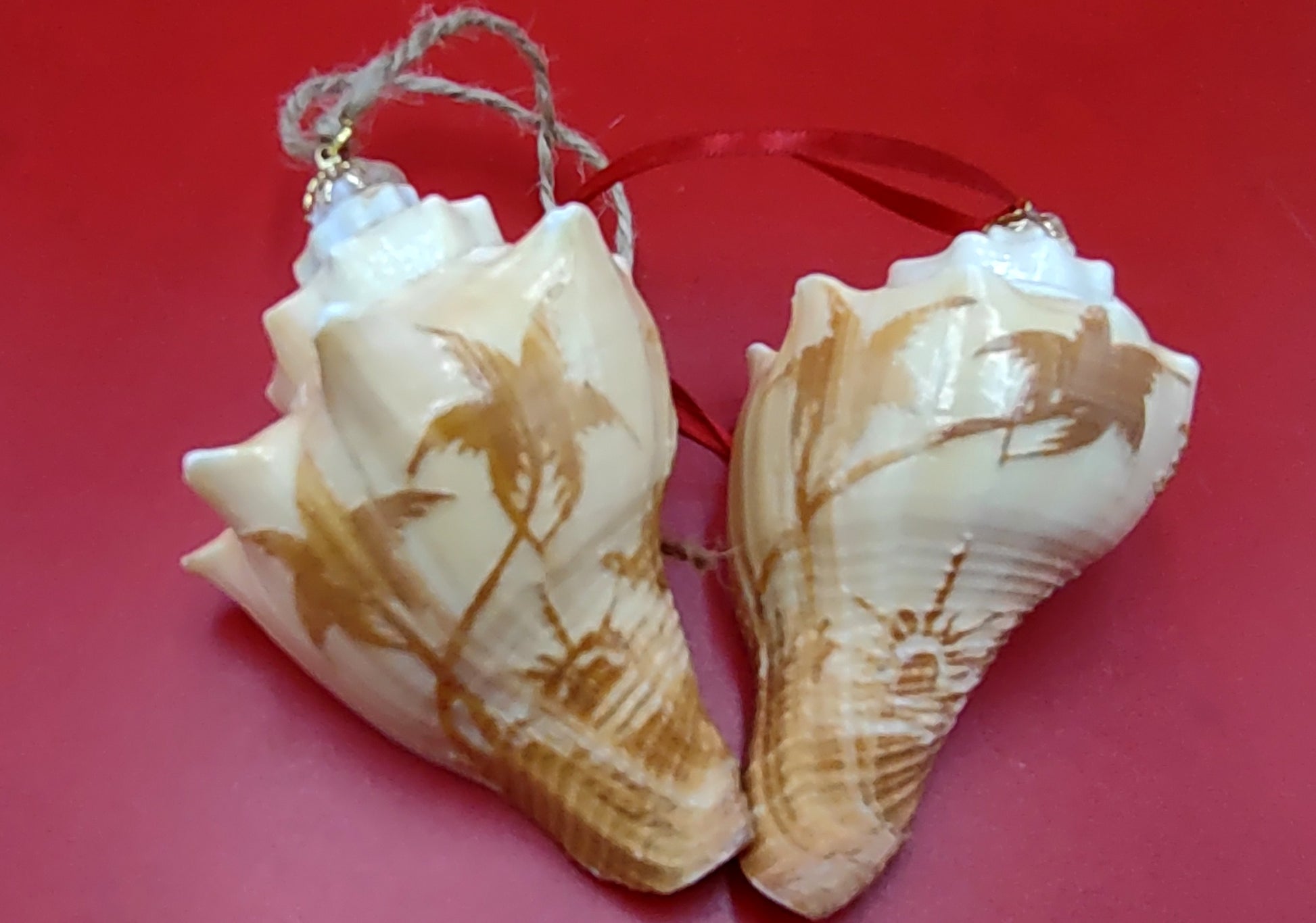 Carved Conch Seashell Ornament (2 shells approx. 2+ inches) Beautiful ornament for any gifting or adding to the holidays! Beautiful spiral shells for any beach lover! Copyright 2024 SeaShellMart.com