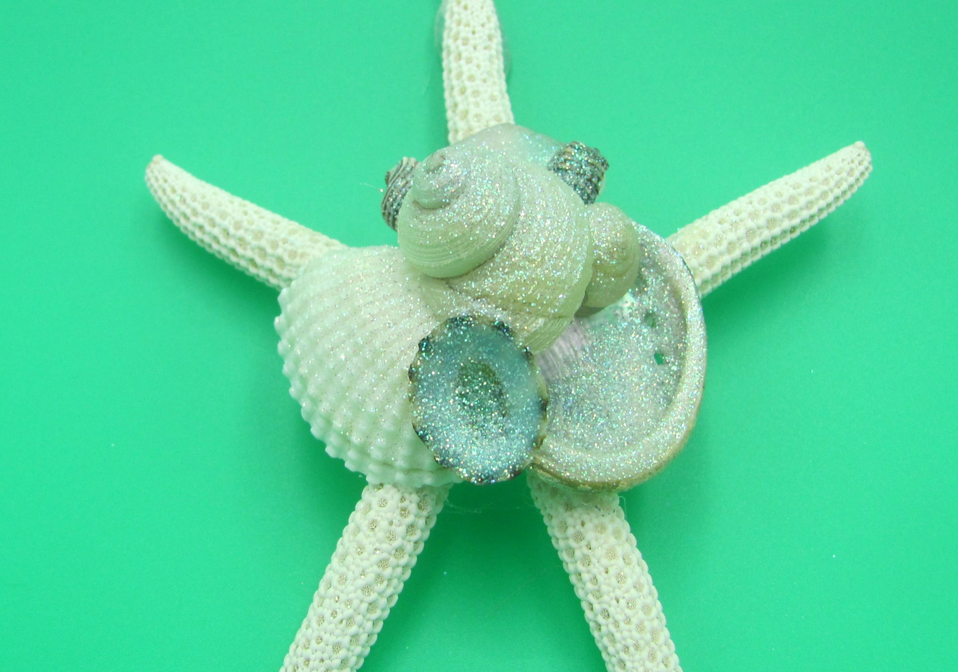 Frosted Seaglass Linckia Starfish Ornament (1 seastar approx. 4-6 inches) on green background. Copyright 2022 SeaShellSupply.com.