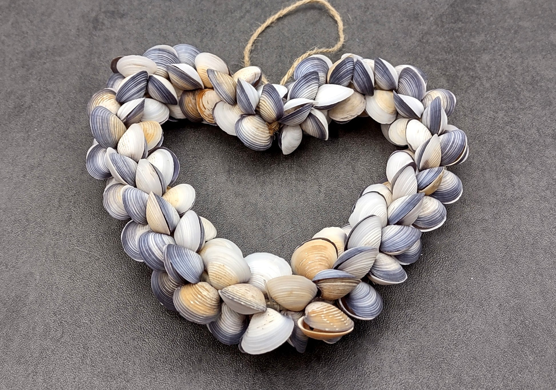 Purple Clam Seashell Heart Wreath Cay Cay Shells (approx. 6+ inch heart 0.75+ inch shells) Nautical Valentine's Day Party Gift Home Décor! Perfect heart ornament or hanging gift for any ocean lover. Copyright 2024 SeaShellMart.com