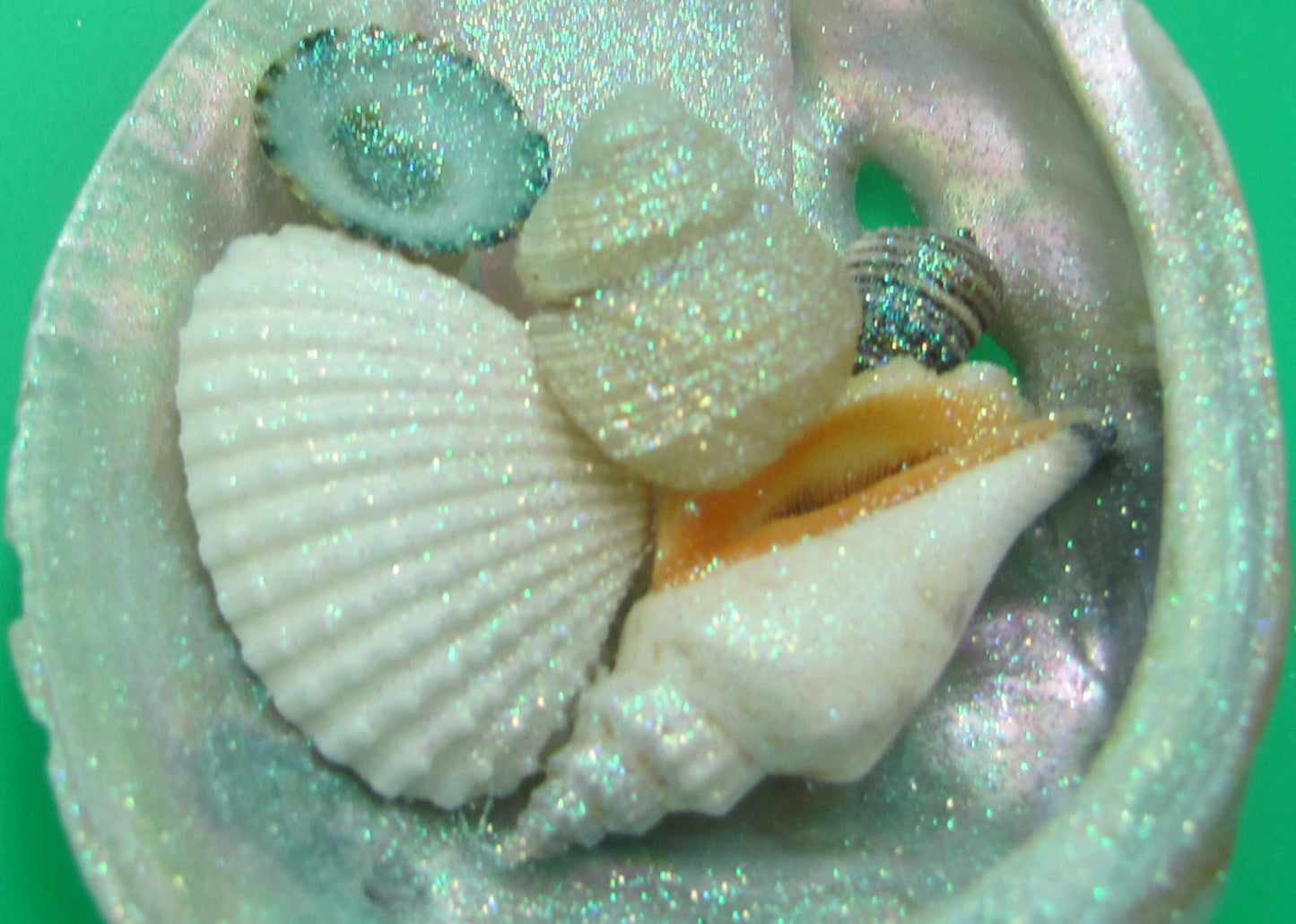 Abalone Frosted Sea Glass Ornament (1 star approx. 3-4 inches) on green background. Copyright 2022 SeaShellSupply.com.