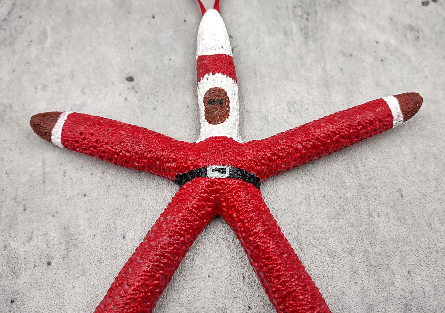 Red Linckia Starfish Black Santa Claus Ornament (1 sea star approx. 4-5+ inches) Painted Black Santa Starfish Ornament For Coastal Christmas!