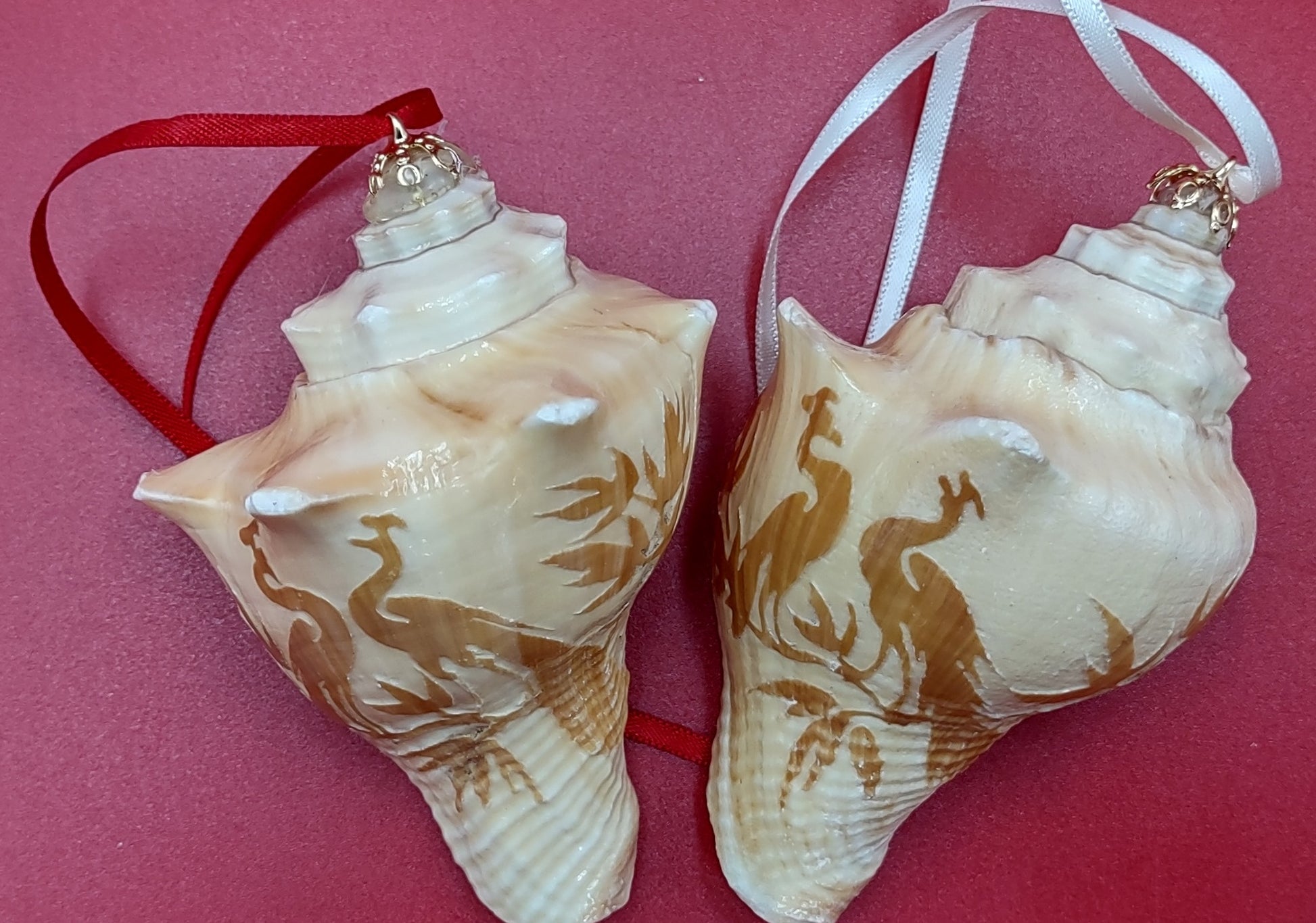 Carved Conch Seashell Ornament (2 shells approx. 2+ inches) Beautiful ornament for any gifting or adding to the holidays! Beautiful spiral shells for any beach lover! Copyright 2024 SeaShellMart.com