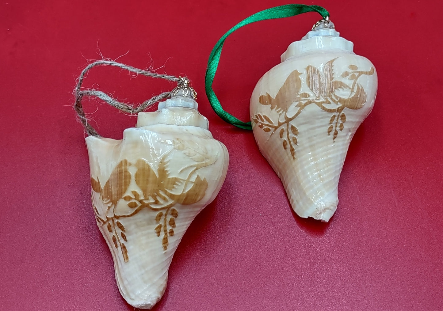 Carved Conch Seashell Ornament (2 shells approx. 2+ inches) Beautiful ornament for any gifting or adding to the holidays! Beautiful spiral shells for any beach lover! Copyright 2024 SeaShellMart.com